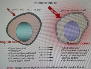 Hipertermi Nedir?