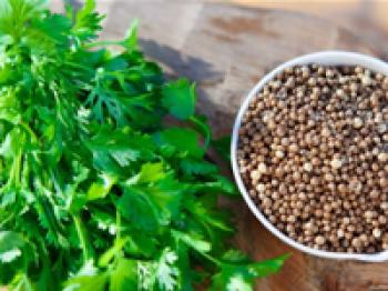 Kanserden Koruyucu Bitkisel Kür