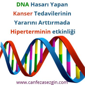 DNA Hasarı Yapan Kanser Tedavilerinin Yararını Arttırmada Hiperterminin Etkinliği