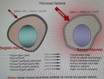 Hipertermi Nedir?