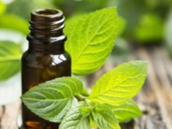 Migren Ataklarına Karşı Bitkisel Aromaterapi Kürü