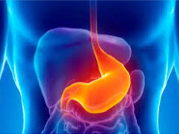 Reflüye Karşı Bitkisel Kür