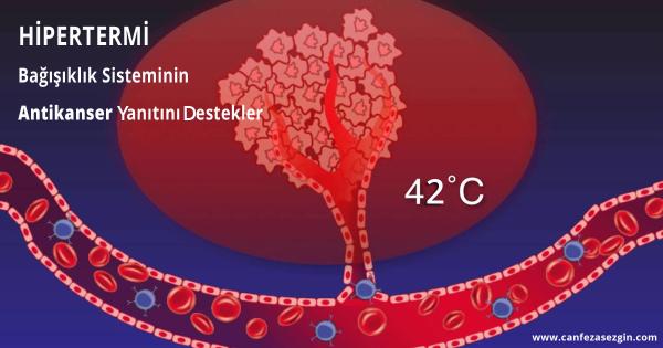 Hipertermi Bağışıklık Sisteminin Antikanser Yanıtını Destekler