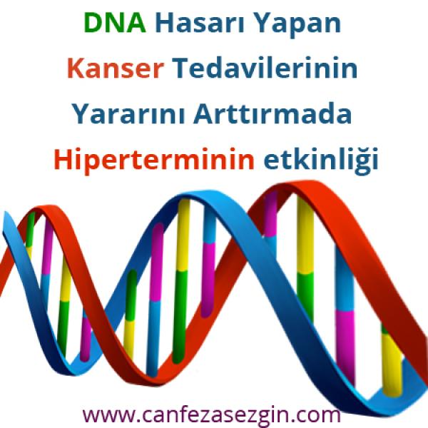 DNA Hasarı Yapan Kanser Tedavilerinin Yararını Arttırmada Hiperterminin Etkinliği