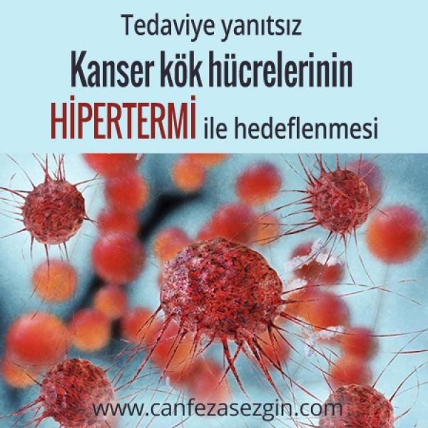 Tedaviye Dirençli Kanser Kök Hücrelerinin Hipertermi ile Hedeflenmesi