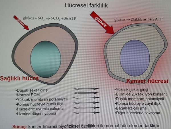 Hipertermi Nedir?