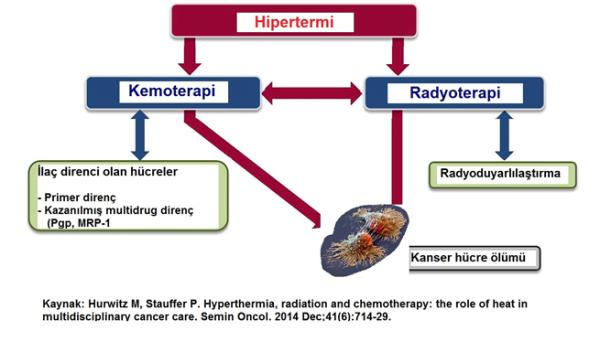 Hiperterminin Uygulama Yöntemleri Nelerdir?