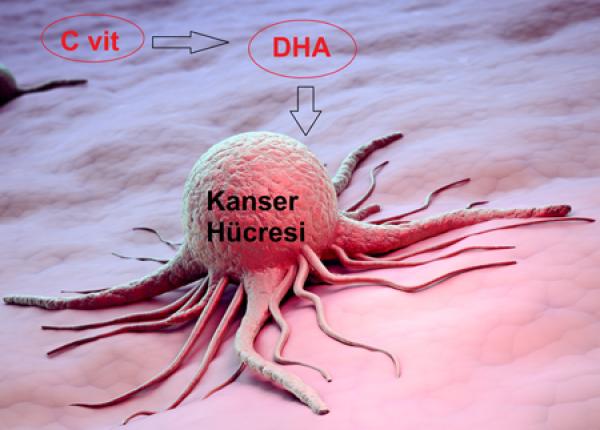 C Vitamini Uygulaması